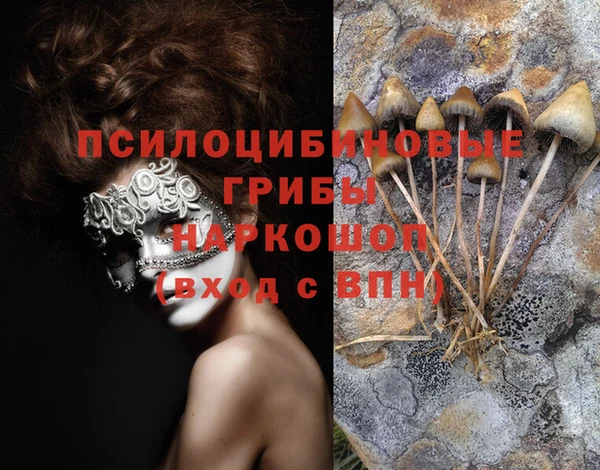 кристаллы Горнозаводск