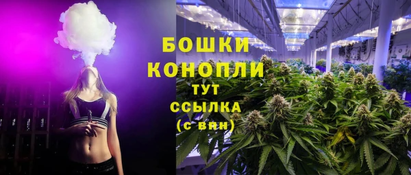 прущая мука Горняк