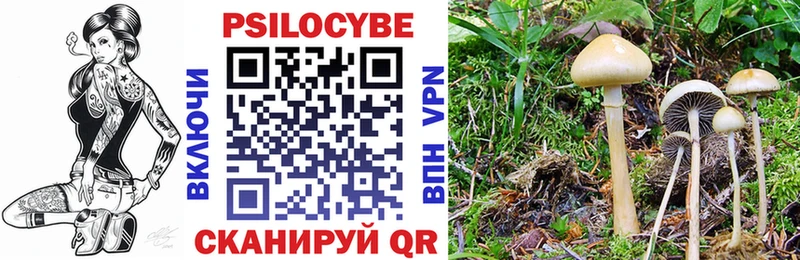 Купить  Шацк  Галлюциногенные грибы прущие грибы 